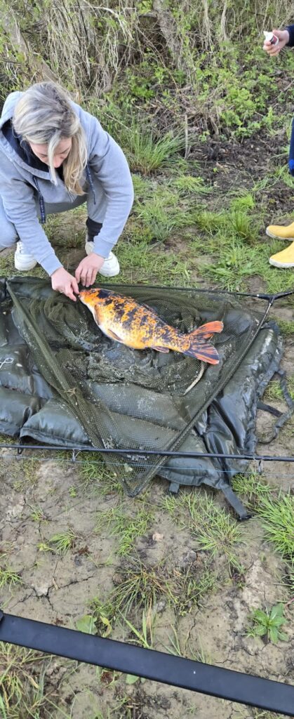 Afbeelding #5 van Sarah Streickler